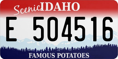 ID license plate E504516