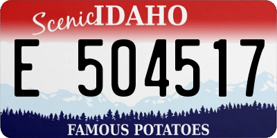 ID license plate E504517