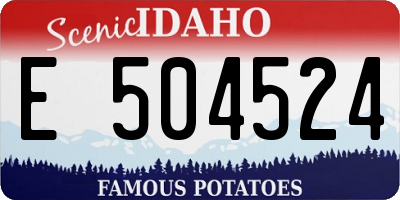 ID license plate E504524