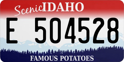 ID license plate E504528
