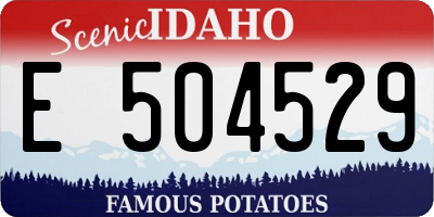 ID license plate E504529