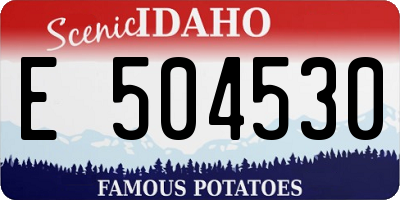 ID license plate E504530