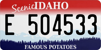 ID license plate E504533