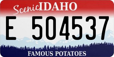 ID license plate E504537