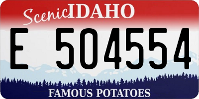 ID license plate E504554