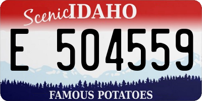 ID license plate E504559