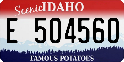 ID license plate E504560