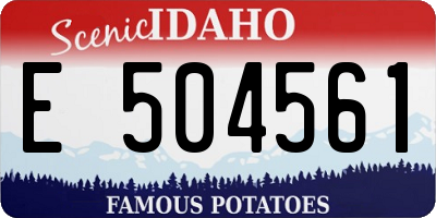 ID license plate E504561