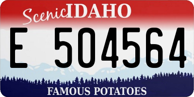 ID license plate E504564
