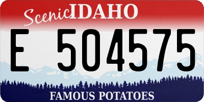 ID license plate E504575