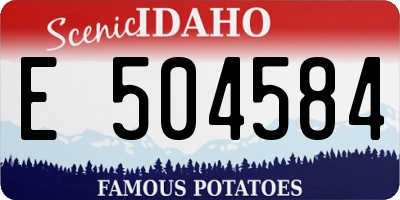 ID license plate E504584