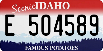 ID license plate E504589