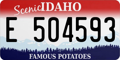 ID license plate E504593