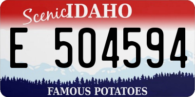 ID license plate E504594