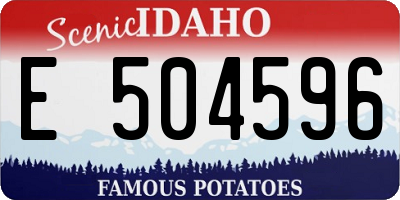 ID license plate E504596