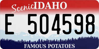 ID license plate E504598