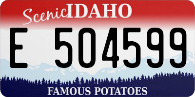 ID license plate E504599