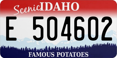 ID license plate E504602