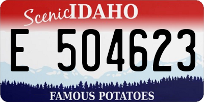 ID license plate E504623