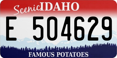 ID license plate E504629