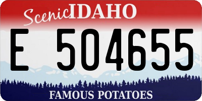 ID license plate E504655