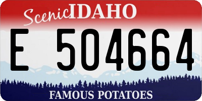 ID license plate E504664