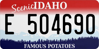 ID license plate E504690