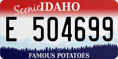 ID license plate E504699