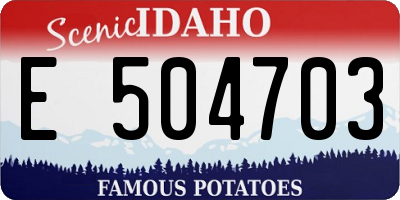 ID license plate E504703
