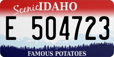 ID license plate E504723