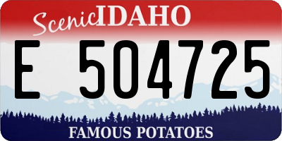 ID license plate E504725