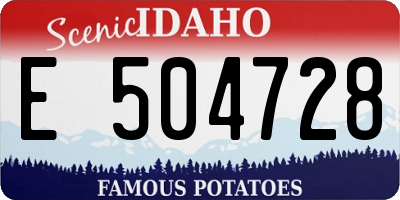 ID license plate E504728