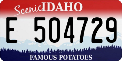 ID license plate E504729