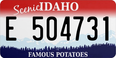 ID license plate E504731