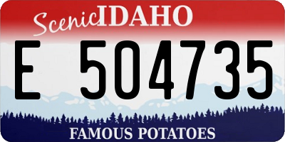 ID license plate E504735