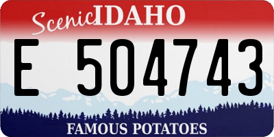 ID license plate E504743