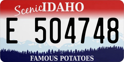 ID license plate E504748