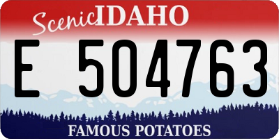 ID license plate E504763