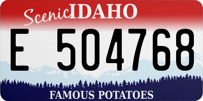 ID license plate E504768