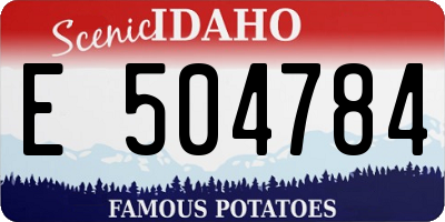 ID license plate E504784