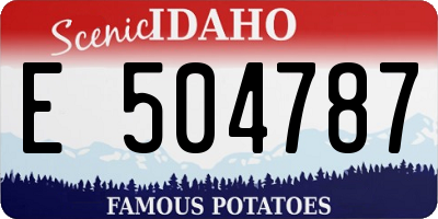 ID license plate E504787