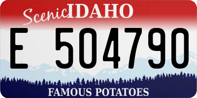 ID license plate E504790