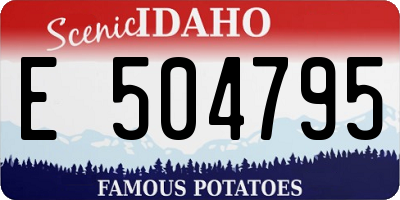 ID license plate E504795