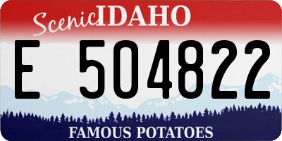 ID license plate E504822