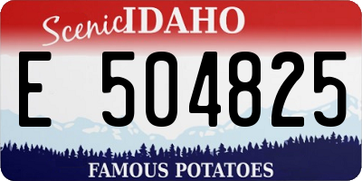 ID license plate E504825