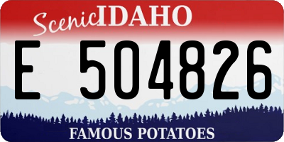 ID license plate E504826