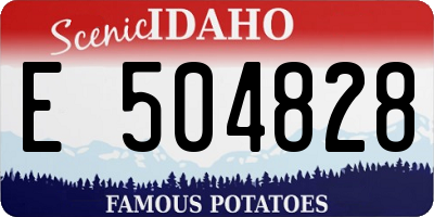 ID license plate E504828
