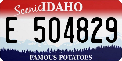ID license plate E504829