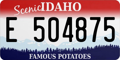 ID license plate E504875