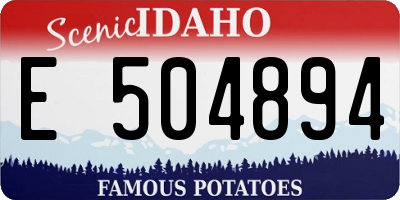 ID license plate E504894